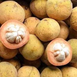 Santol Bangkok