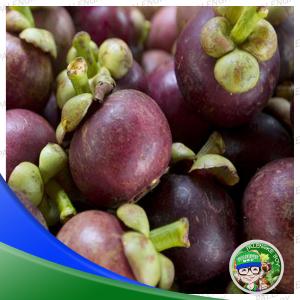 Mangosteen