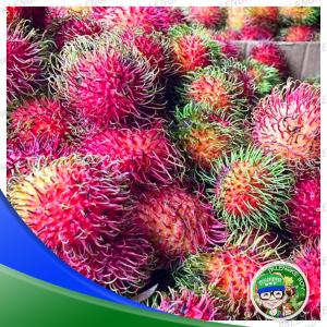 Rambutan/Maharlika