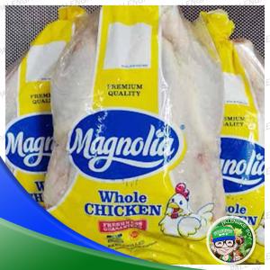 MAGNOLIA Chicken Whole 1.5kgs Up